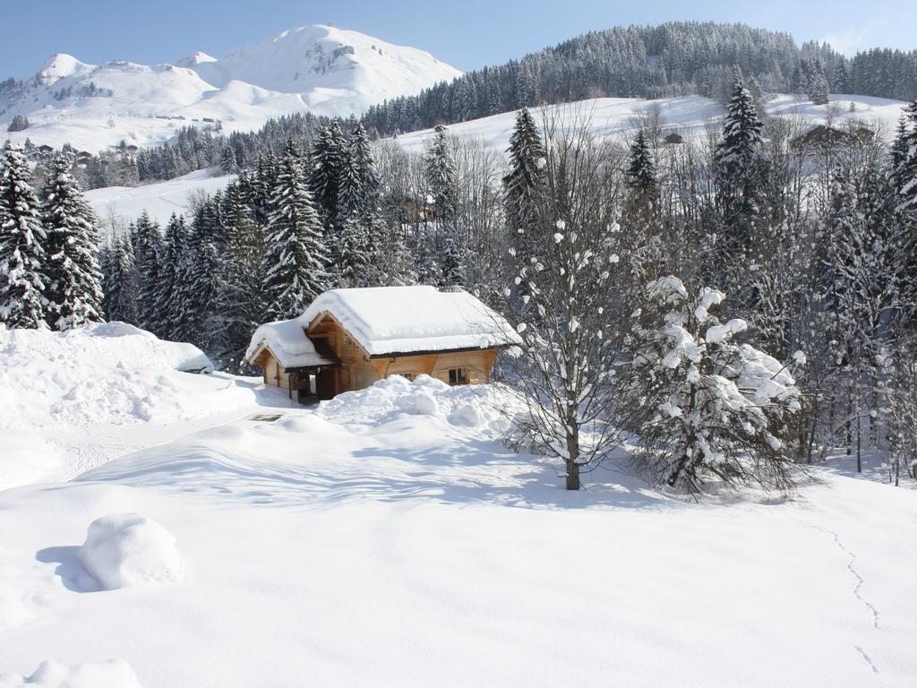 Luxurious Chalet In Le Chinaillon With Sauna Villa Le Grand-Bornand Exterior photo